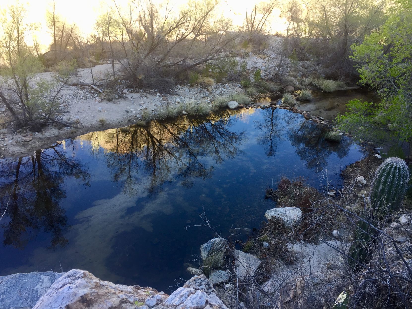 Pool along Sabino Creek
